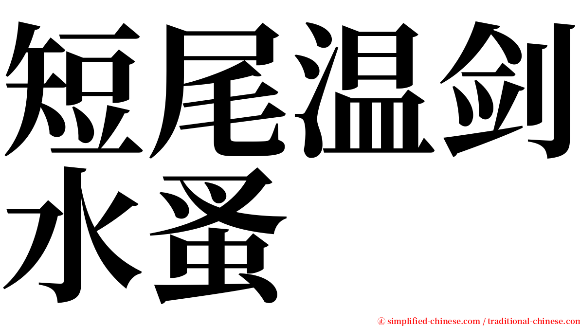 短尾温剑水蚤 serif font