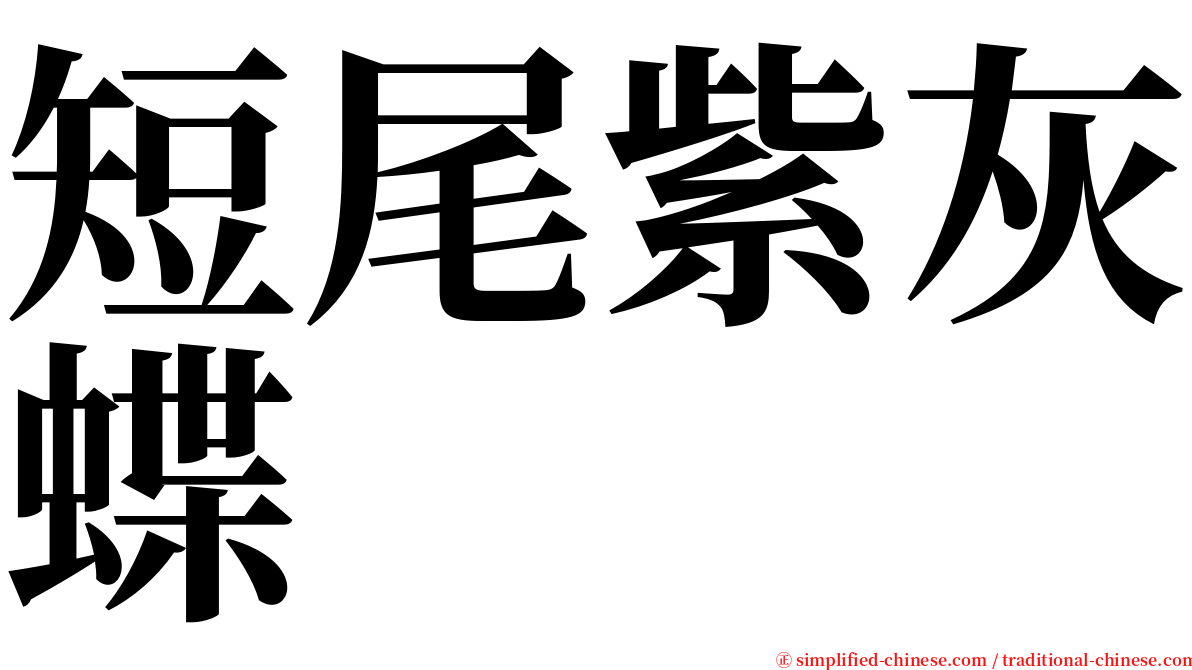 短尾紫灰蝶 serif font