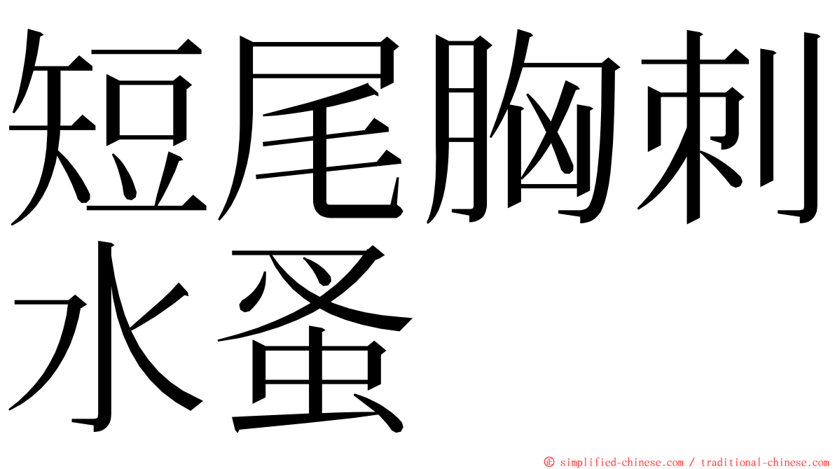 短尾胸刺水蚤 ming font