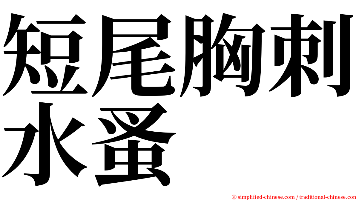 短尾胸刺水蚤 serif font