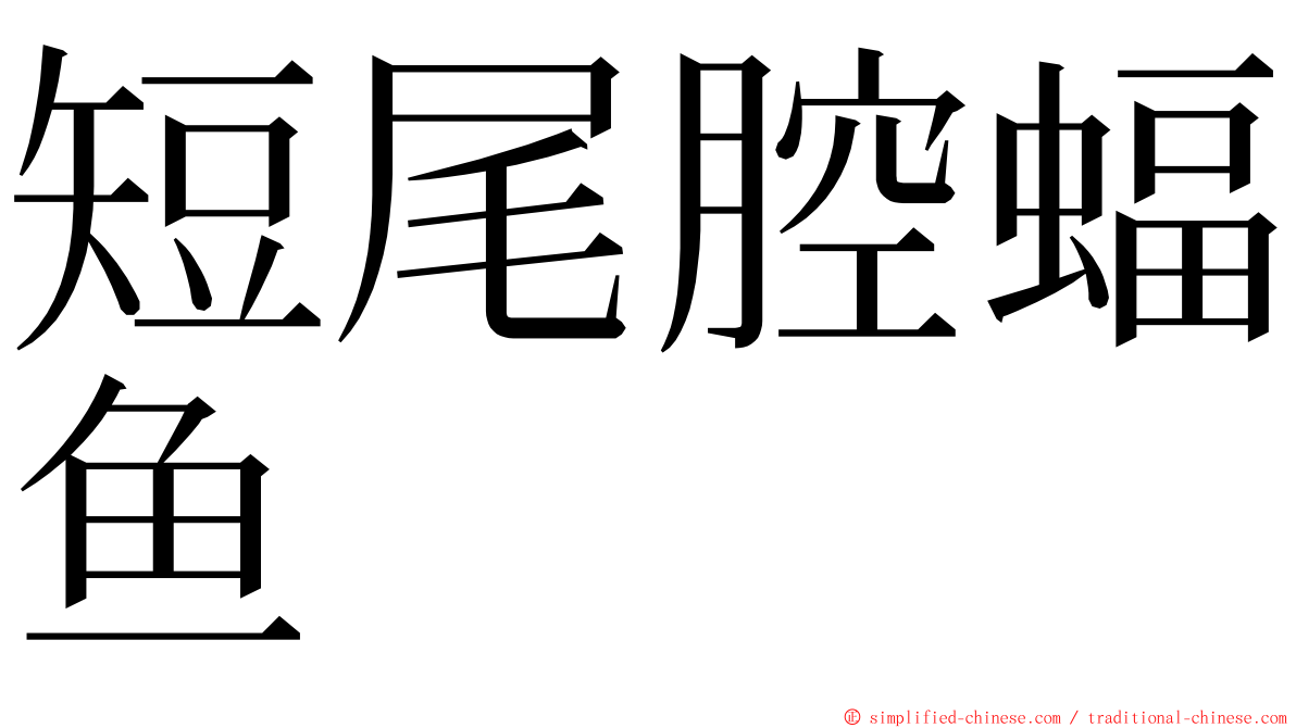 短尾腔蝠鱼 ming font