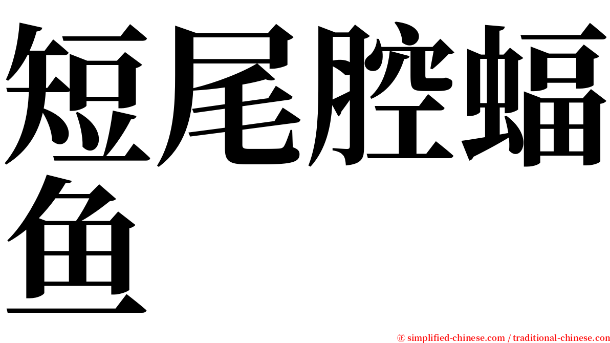 短尾腔蝠鱼 serif font