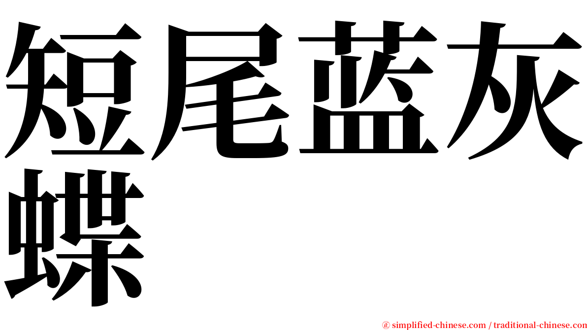 短尾蓝灰蝶 serif font