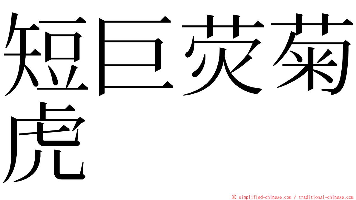 短巨荧菊虎 ming font