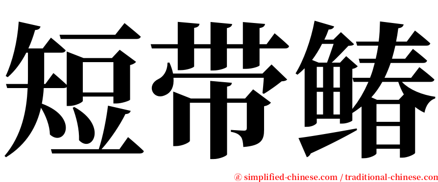 短带䲠 serif font