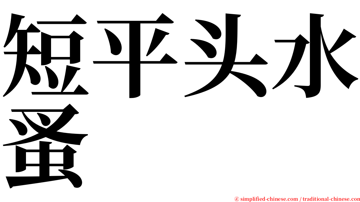 短平头水蚤 serif font