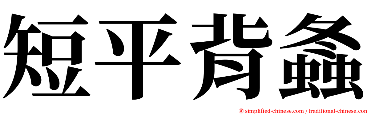 短平背螽 serif font