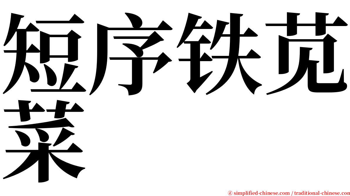 短序铁苋菜 serif font