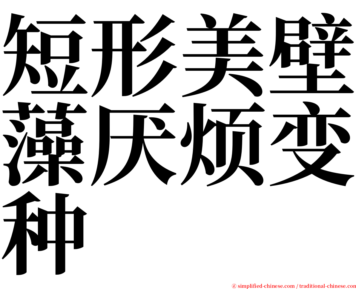 短形美壁藻厌烦变种 serif font