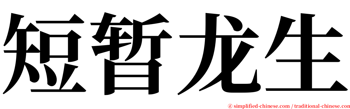 短暂龙生 serif font