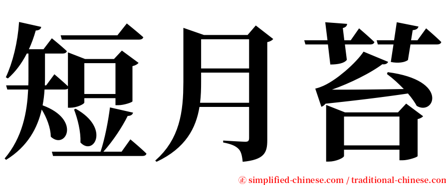 短月苔 serif font