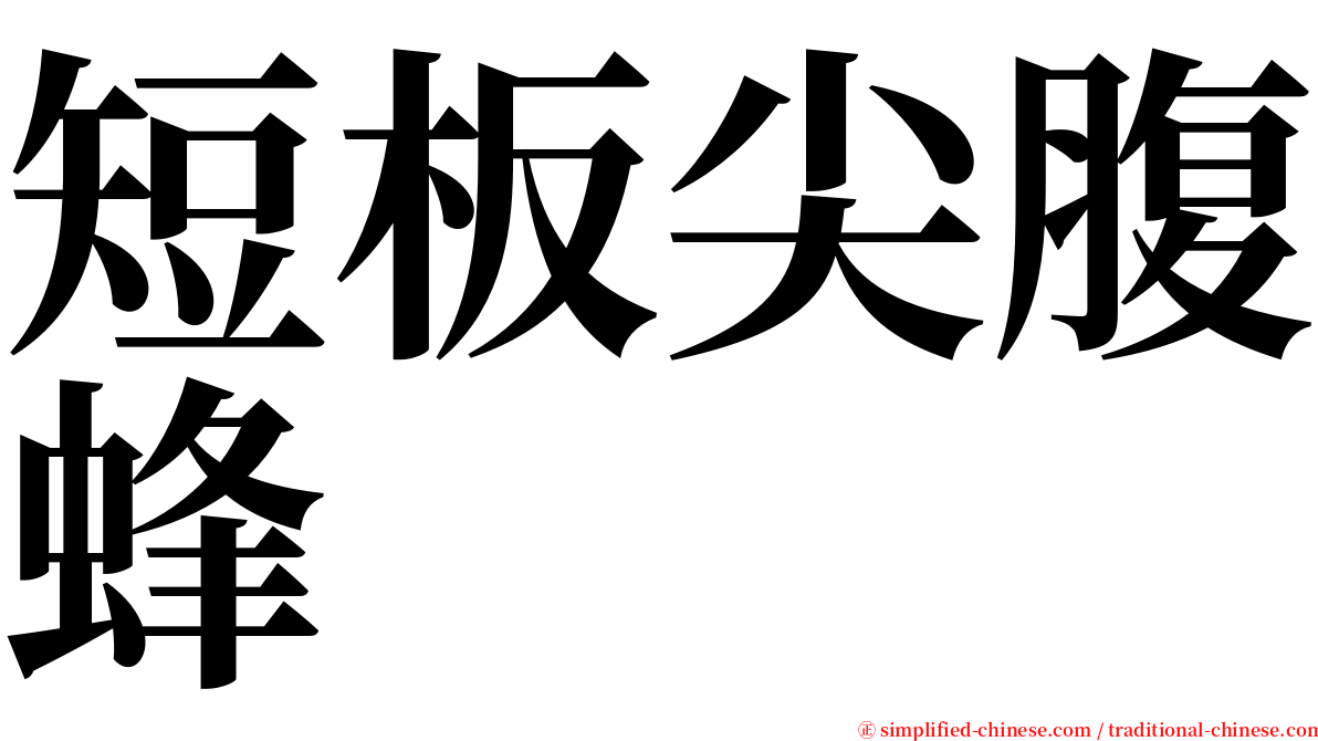 短板尖腹蜂 serif font