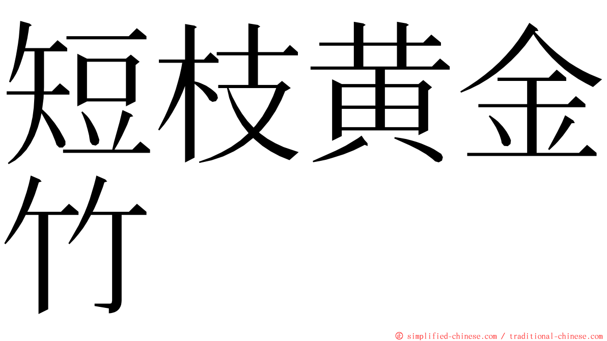 短枝黄金竹 ming font