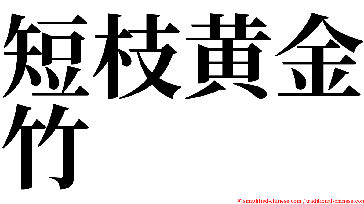 短枝黄金竹 serif font