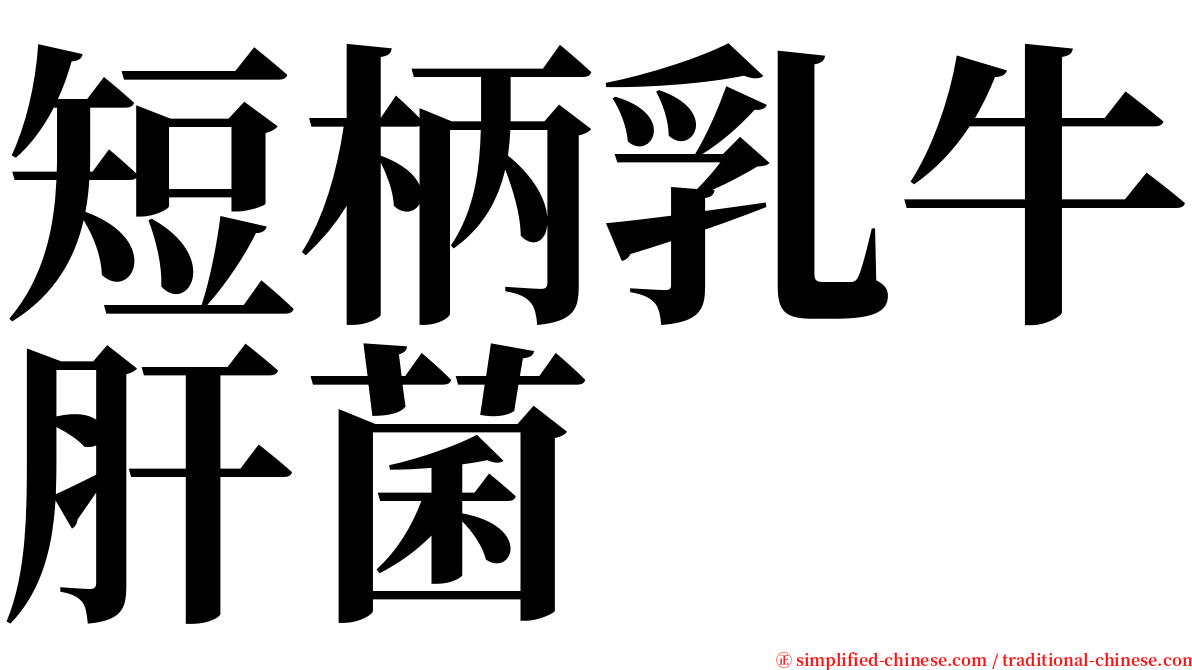 短柄乳牛肝菌 serif font