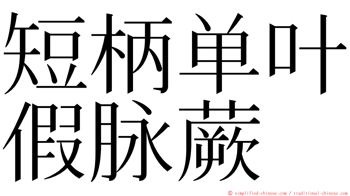 短柄单叶假脉蕨 ming font