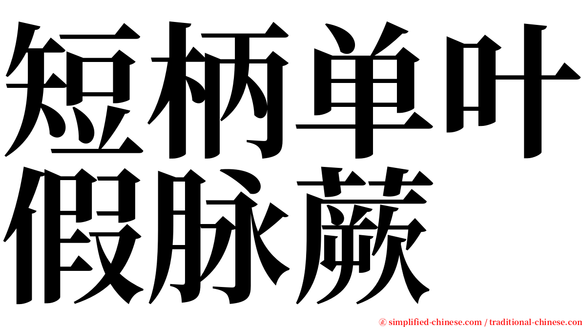 短柄单叶假脉蕨 serif font