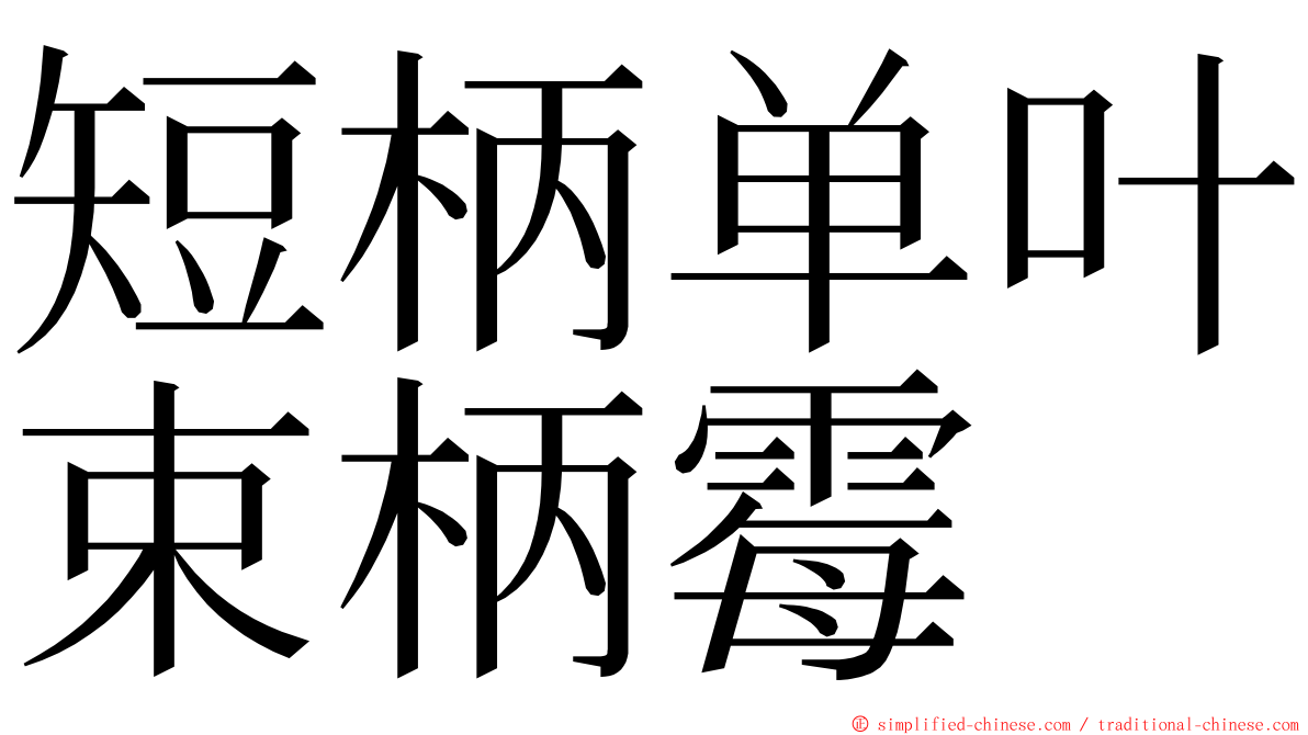 短柄单叶束柄霉 ming font