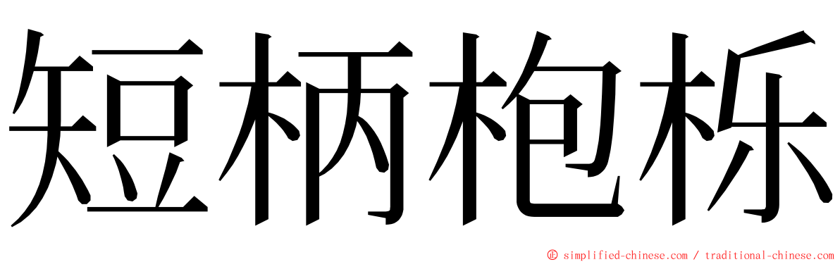 短柄枹栎 ming font