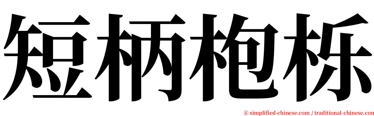 短柄枹栎 serif font