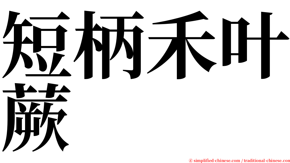 短柄禾叶蕨 serif font