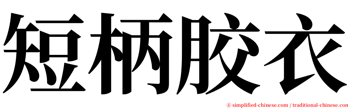 短柄胶衣 serif font