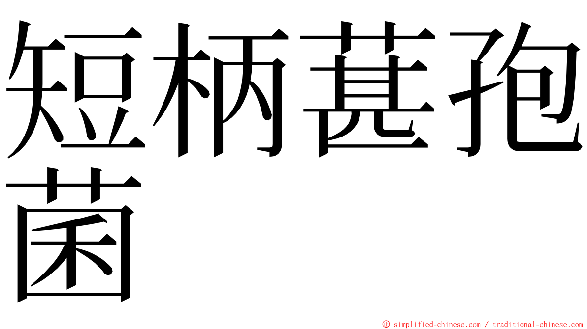 短柄葚孢菌 ming font