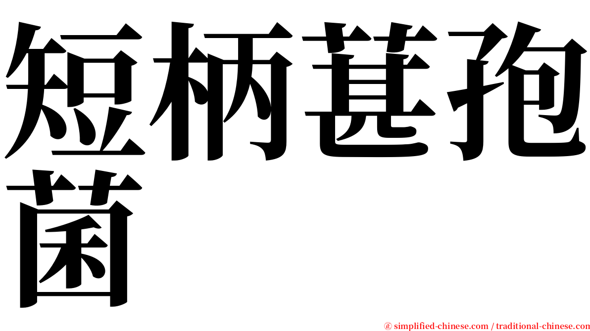 短柄葚孢菌 serif font