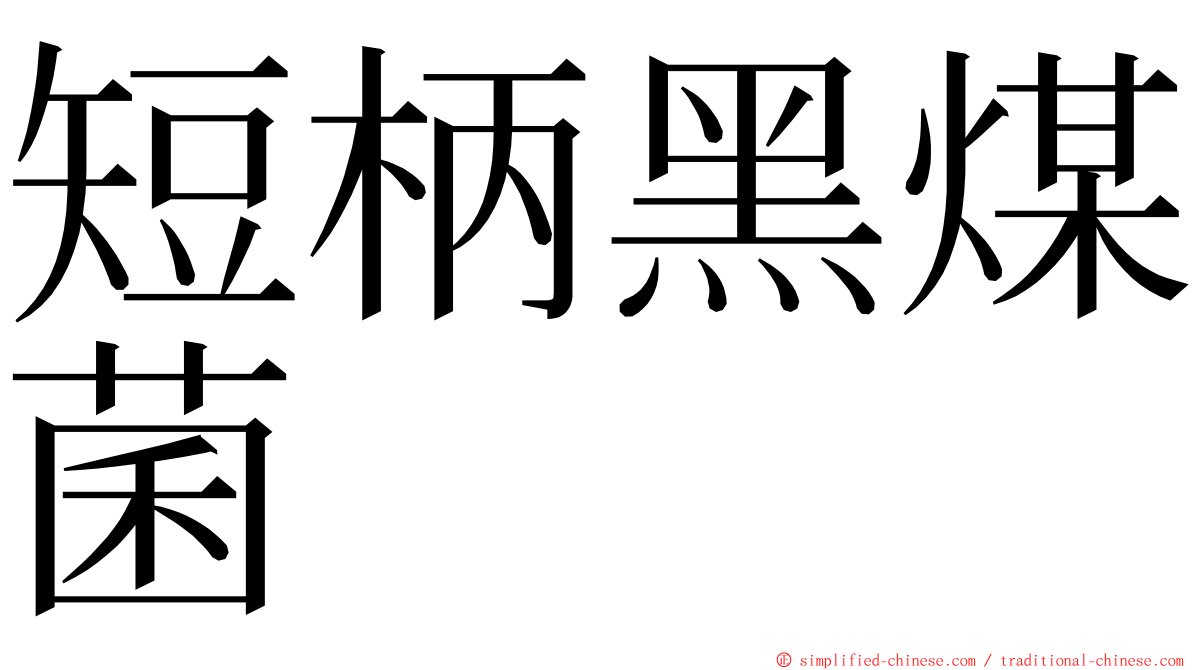 短柄黑煤菌 ming font