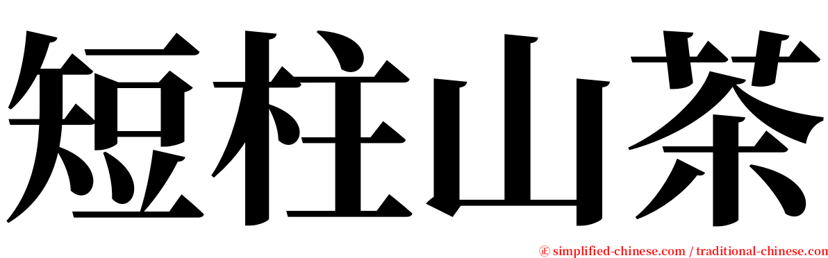 短柱山茶 serif font