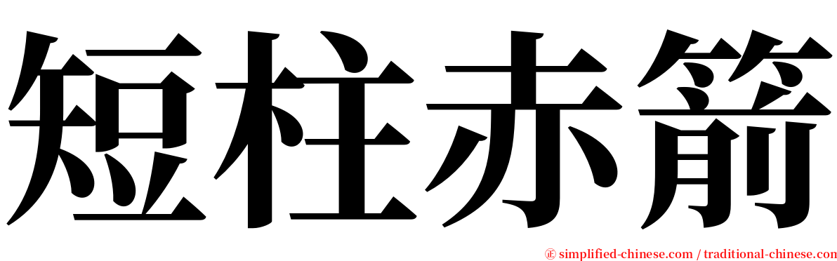 短柱赤箭 serif font