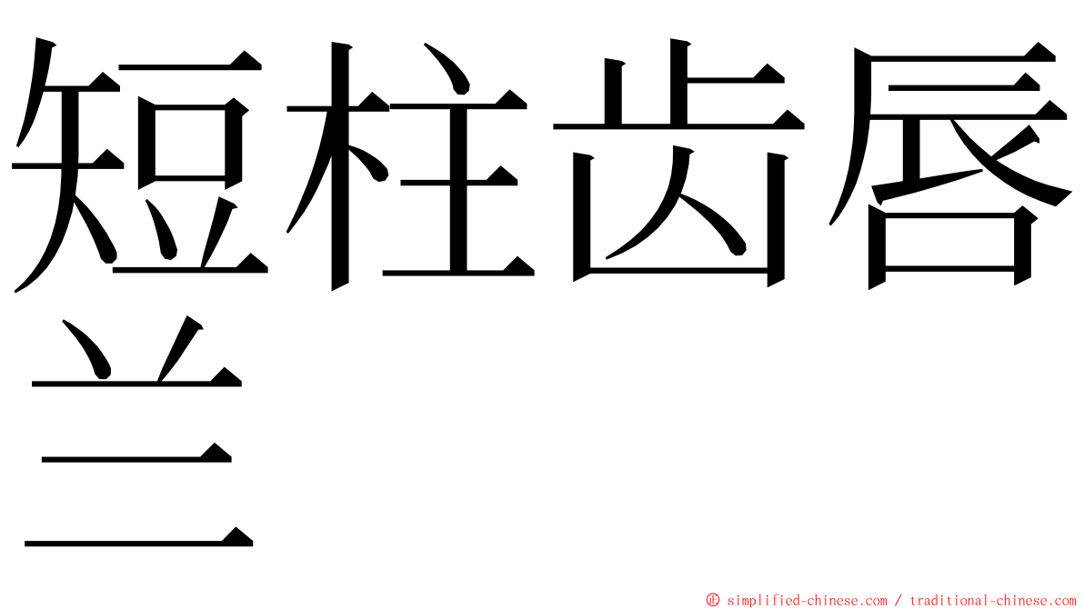 短柱齿唇兰 ming font