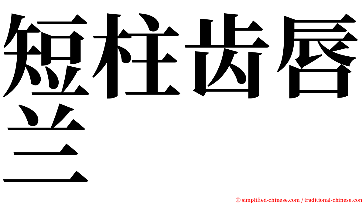 短柱齿唇兰 serif font