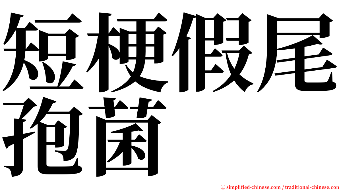 短梗假尾孢菌 serif font