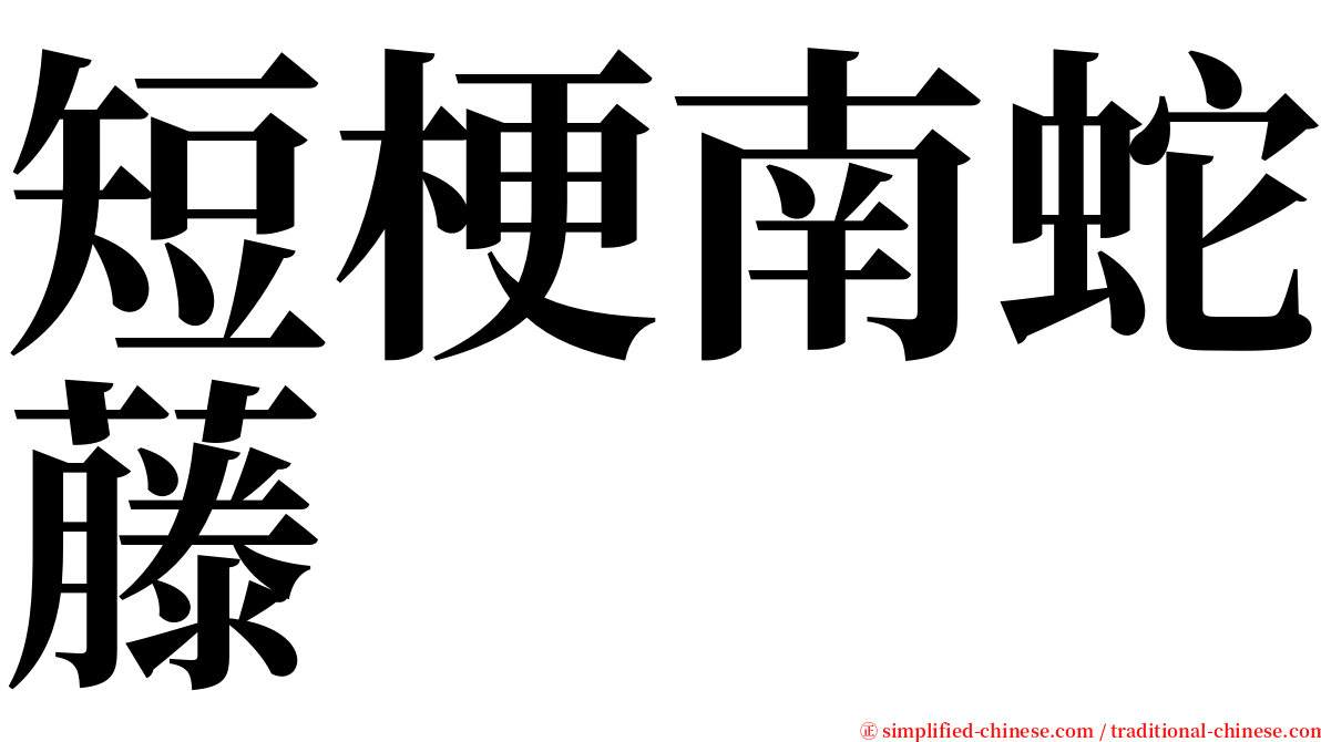 短梗南蛇藤 serif font
