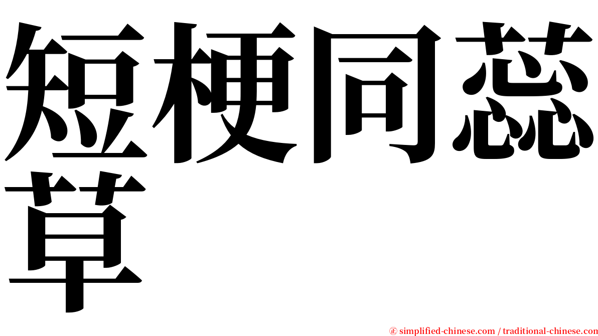 短梗同蕊草 serif font