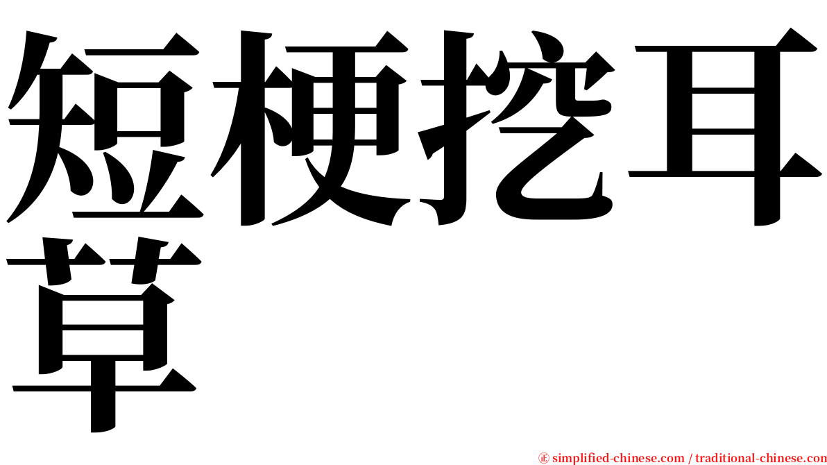 短梗挖耳草 serif font