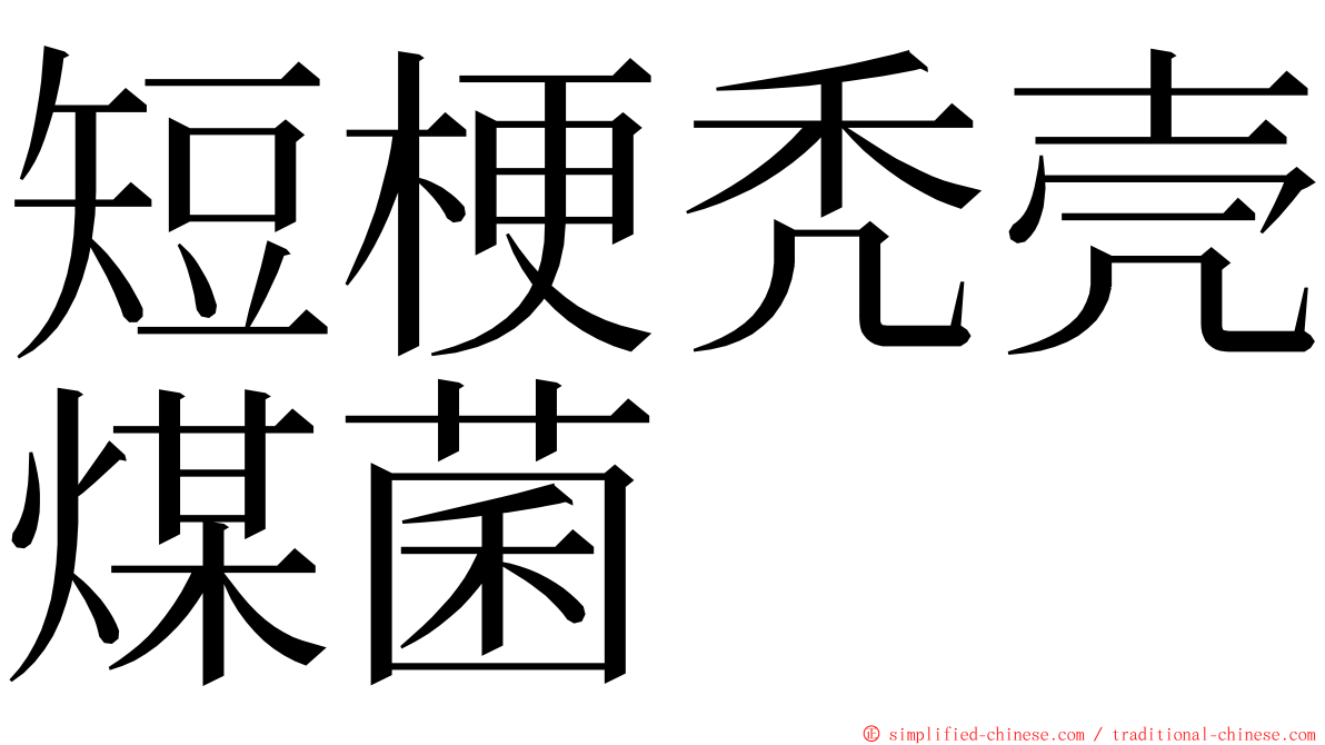 短梗秃壳煤菌 ming font