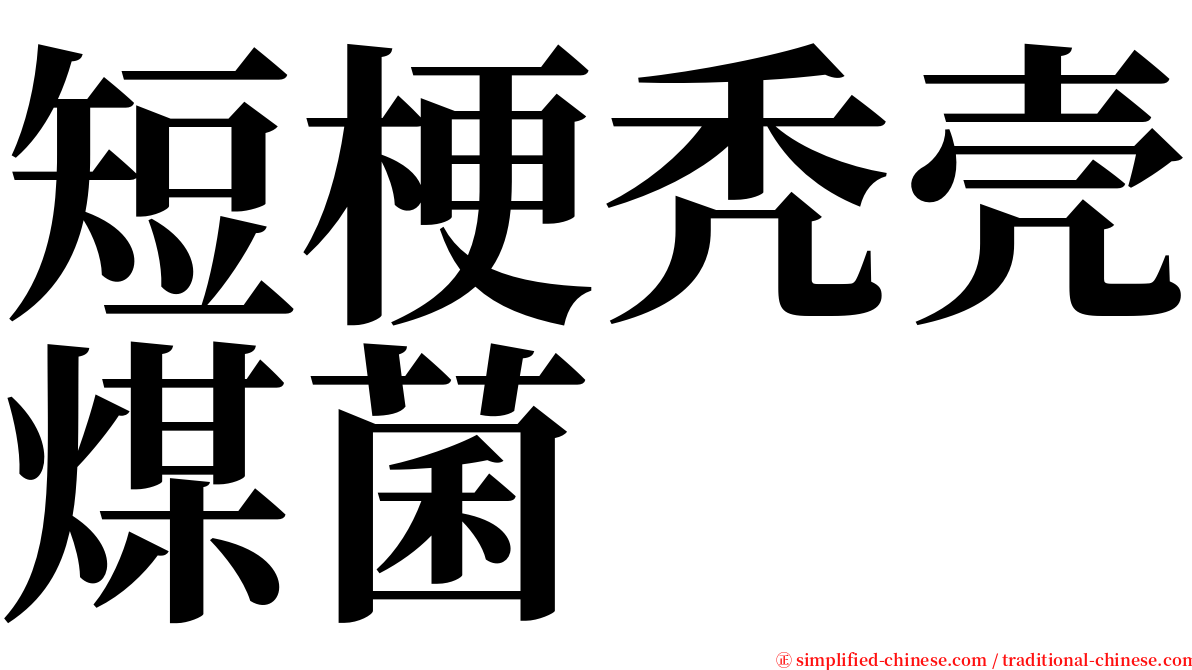 短梗秃壳煤菌 serif font