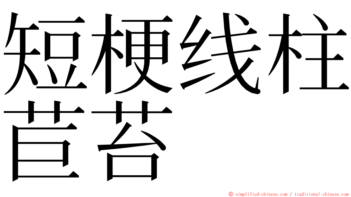 短梗线柱苣苔 ming font