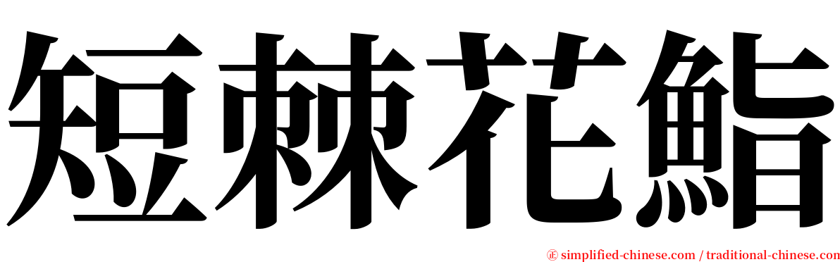 短棘花鮨 serif font