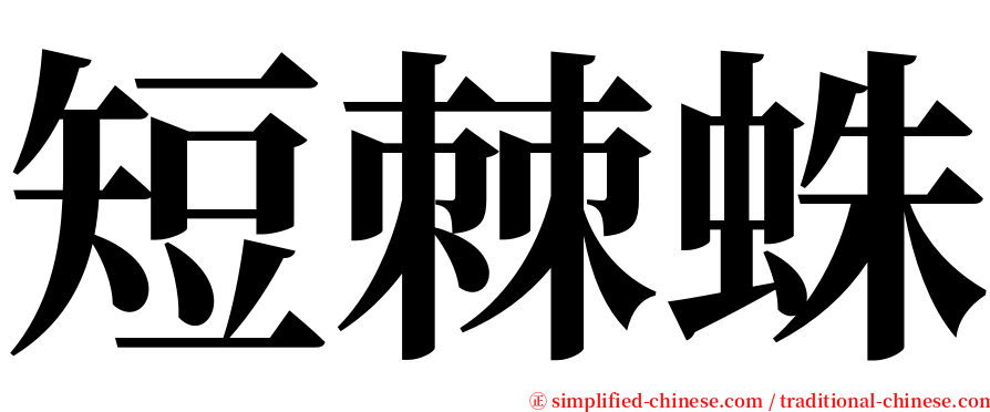 短棘蛛 serif font