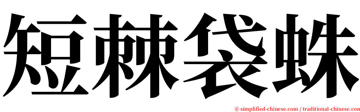 短棘袋蛛 serif font