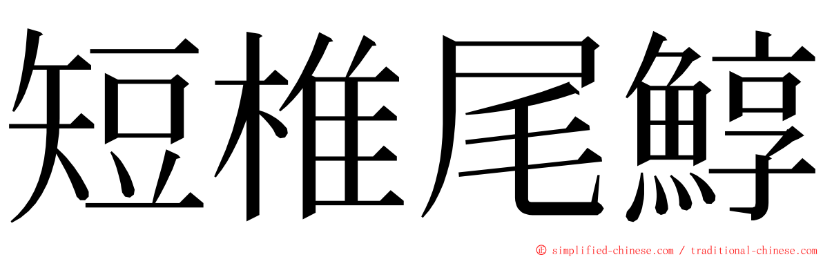 短椎尾鯙 ming font