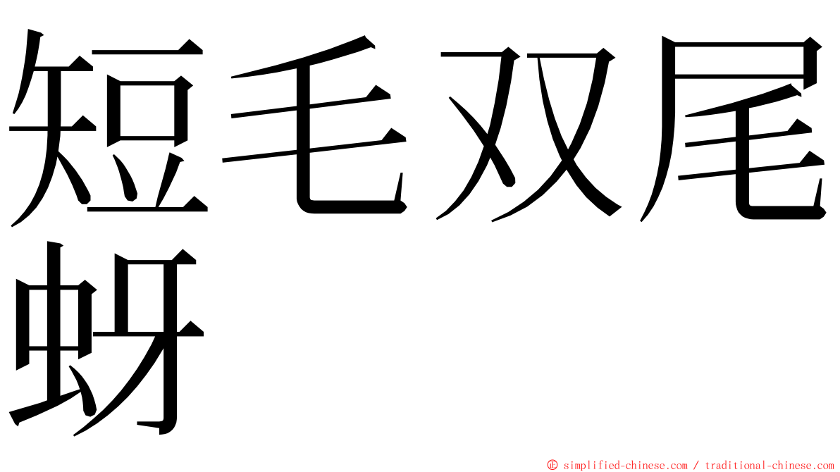 短毛双尾蚜 ming font