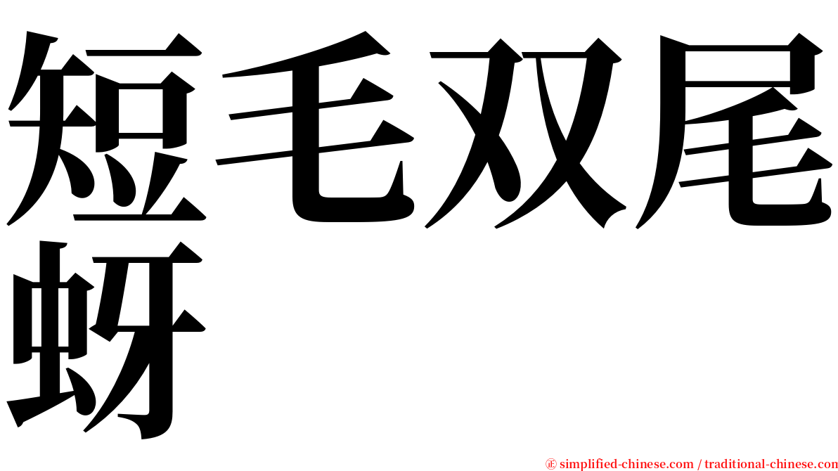 短毛双尾蚜 serif font