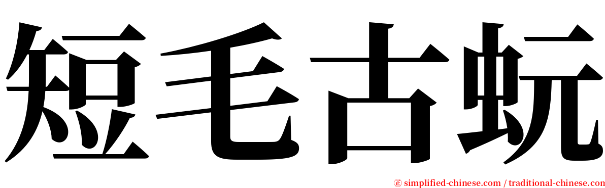 短毛古蚖 serif font