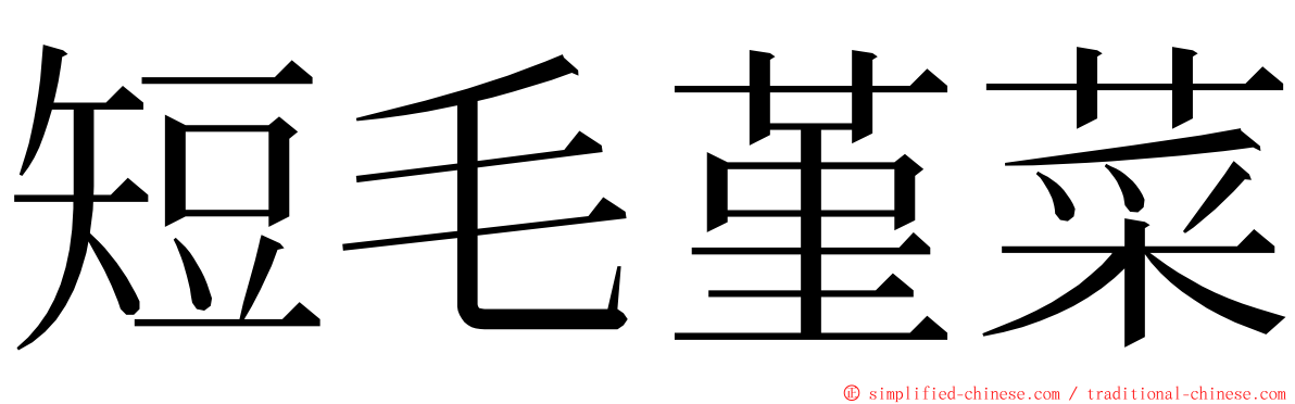 短毛堇菜 ming font