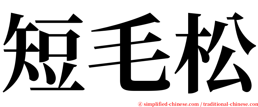 短毛松 serif font