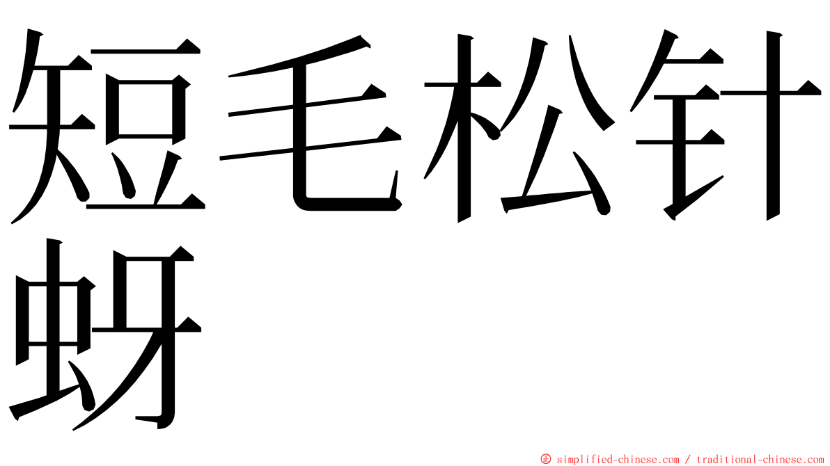 短毛松针蚜 ming font